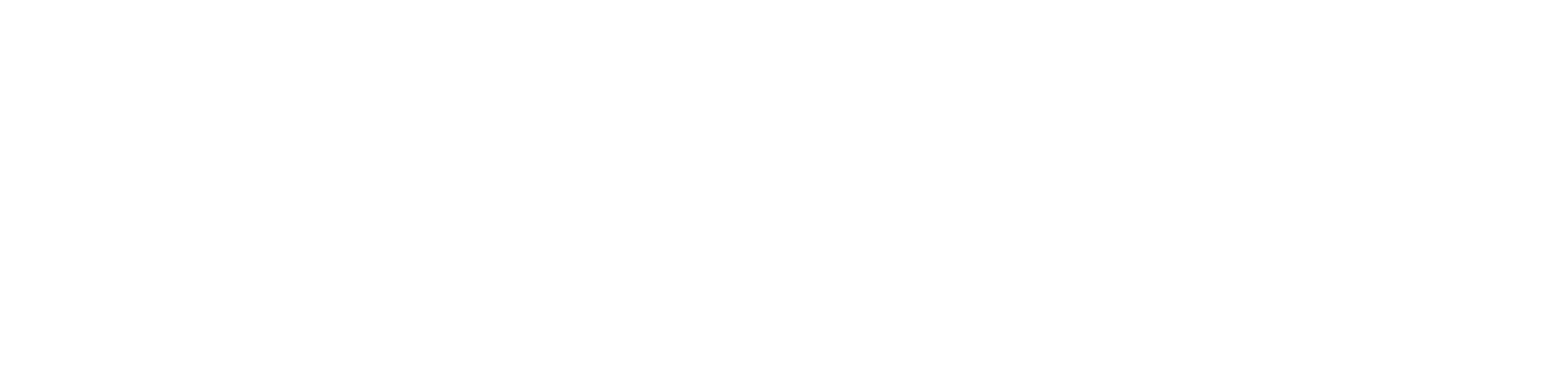 Floton Africa Logo